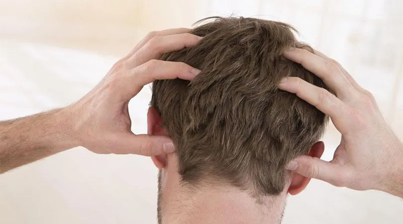 Details on Hair Transplant Procedure and Process